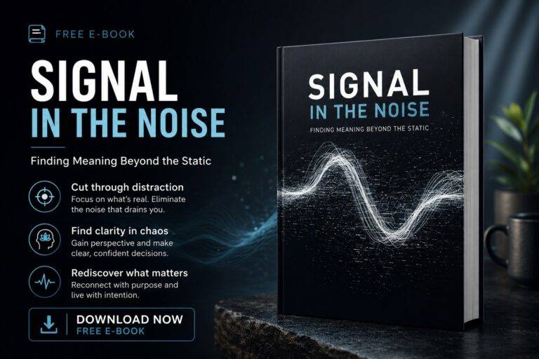 Signal in the Noise: Finding Meaning Beyond the Static preview